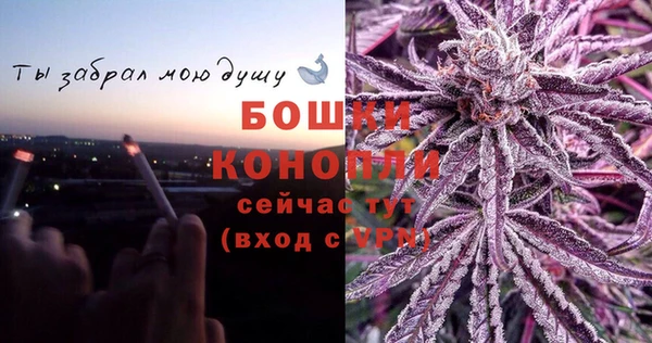 стаф Волоколамск