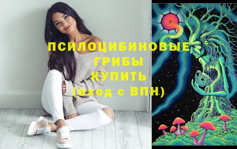 Галлюциногенные грибы MAGIC MUSHROOMS  Красноуральск 